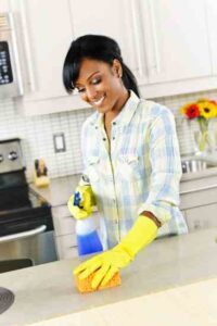 Ants, Bedbugs and Dust Mites: DIY Natural Home Pest Control Solutions Image